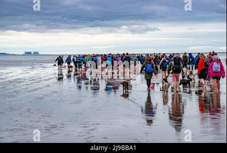 Arnside, Cumbria, Großbritannien. 22.. Mai 2022. Wolkiges Wetter, während Wanderer auf einen Spaziergang über den heimtückischen Sand der Morecambe Bay zwischen Arnside und Kent's Bank, Grange over Sands, gehen. Die geführten Wanderungen überqueren den Sand durch die Kanäle des Kent River und sind zwischen 6 und 8 Meilen lang. Der aktuelle Queen's Guide to the Sands ist Michael Wilson, der die Rolle 2019 übernahm. Quelle: John Eveson/Alamy Live News Stockfoto