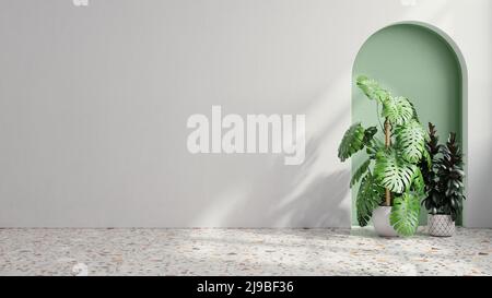 Pflanzen auf einem Terrazzoboden im leeren weißen Raum.3D Rendering Stockfoto