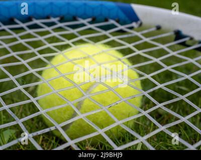 Nahaufnahme von synthetischen Darm-Schlägersaiten auf einem Tennisball, der auf dem Rasen eines Rasenplatzes liegt Stockfoto