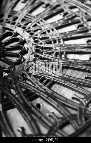 Fantastische und reizvolle Details von dekorativen architektonischen Elementen aus Gusseisen aus vergangenen Zeiten. Stockfoto