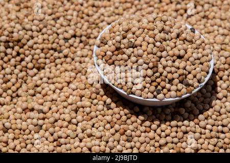 Ecuador, Quito, Otavalo, Lebensmittelmarkt. Kichererbsen oder Kichererbsen (Cicer arietinum), auch Garbanzo-Bohnen genannt. Proteinreich. Stockfoto