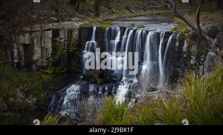 Ebor Falls nach einem Regen in Armidale, NSW, Australien, strömt ein kaskadierendes HD-Hintergrundbild Stockfoto