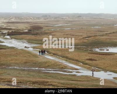 De slufter Naturschutzgebiet in Texel, Nordholland, Niederlande. Stockfoto