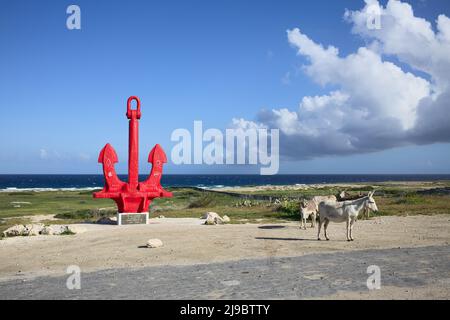 SAN NICOLAS, ARUBA - 17. DEZEMBER 2020: Das historische Wahrzeichen der roten Anker in Erinnerung an alle Seeleute, die auf See verloren gegangen sind, und einige Esel in Aruba Stockfoto