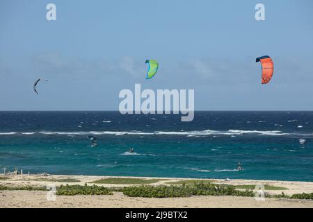 BOCA GRANDI, ARUBA - 17. DEZEMBER 2020: Kite- und Flügelsurfer am Boca Grandi Strand an der südöstlichen Küste der karibischen Insel Aruba Stockfoto