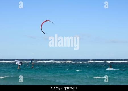 BOCA GRANDI, ARUBA - 17. DEZEMBER 2020: Kite- und Flügelsurfer am Boca Grandi Strand an der südöstlichen Küste der karibischen Insel Aruba Stockfoto