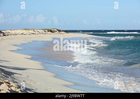 BOCA GRANDI, ARUBA - 17. DEZEMBER 2020: Der Sandstrand von Boca Grandi, ein beliebter Ort für Kite- und Flügelsurfen auf Aruba Stockfoto