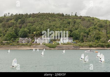 Crosshaven, Cork, Irland. 22.. Mai 2022. Einige der Teilnehmer kehren nach der Teilnahme an der IODAI Optimist Munster Championship, die am Wochenende in Crosshaven, Co. Cork, Irland, stattfand, in den Royal Cork Yach Club zurück. - Credit; David Creedon / Alamy Live News Stockfoto