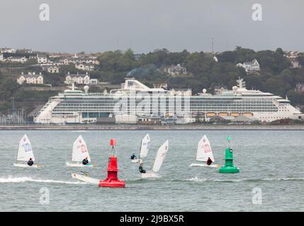 Crosshaven, Cork, Irland. 22.. Mai 2022. Vor dem Hintergrund des Schiffes Jewel of the Seas nahmen einige der Teilnehmer an der IODAI Optimist Munster Championship Teil, die am Wochenende in Crosshaven, Co. Cork, Irland, stattfand. - Credit; David Creedon / Alamy Live News Stockfoto