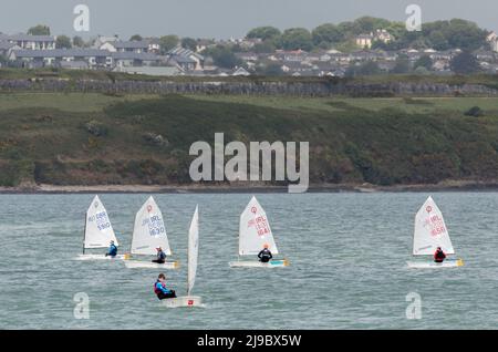 Crosshaven, Cork, Irland. 22.. Mai 2022. Einige der Teilnehmer, die an der IODAI Optimist Munster Championship teilnahmen, die am Wochenende in Crosshaven, Co. Cork, Irland, stattfand. - Credit; David Creedon / Alamy Live News Stockfoto