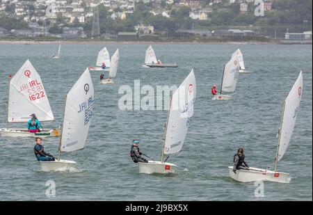 Crosshaven, Cork, Irland. 22.. Mai 2022. Einige der Teilnehmer, die an der IODAI Optimist Munster Championship teilnahmen, die am Wochenende in Crosshaven, Co. Cork, Irland, stattfand. - Credit; David Creedon / Alamy Live News Stockfoto