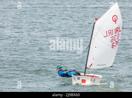 Crosshaven, Cork, Irland. 22.. Mai 2022. Einige der Teilnehmer, die an der IODAI Optimist Munster Championship teilnahmen, die am Wochenende in Crosshaven, Co. Cork, Irland, stattfand. - Credit; David Creedon / Alamy Live News Stockfoto