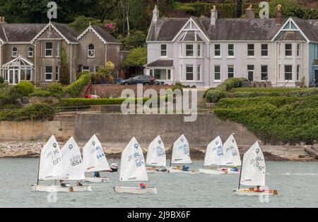 Crosshaven, Cork, Irland. 22.. Mai 2022. Einige der Teilnehmer kehren nach der Teilnahme an der IODAI Optimist Munster Championship, die am Wochenende in Crosshaven, Co. Cork, Irland, stattfand, in den Royal Cork Yach Club zurück. - Credit; David Creedon / Alamy Live News Stockfoto