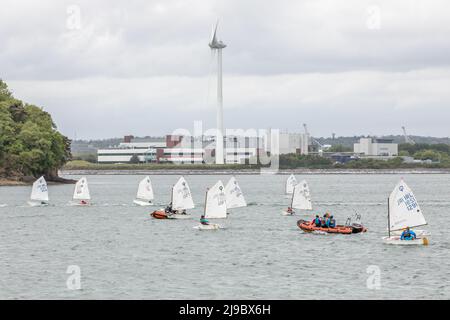 Crosshaven, Cork, Irland. 22.. Mai 2022. Einige der Teilnehmer, die an der IODAI Optimist Munster Championship teilnahmen, die am Wochenende in Crosshaven, Co. Cork, Irland, stattfand. - Credit; David Creedon / Alamy Live News Stockfoto