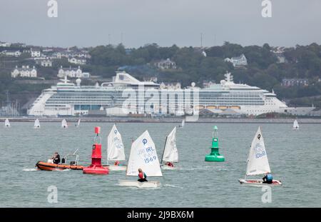 Crosshaven, Cork, Irland. 22.. Mai 2022. Vor dem Hintergrund des Schiffes Jewel of the Seas nahmen einige der Teilnehmer an der IODAI Optimist Munster Championship Teil, die am Wochenende in Crosshaven, Co. Cork, Irland, stattfand. - Credit; David Creedon / Alamy Live News Stockfoto