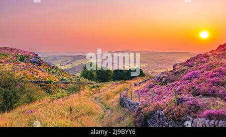 Wunderschöner violetter und rosafarbener Sonnenuntergang über dem Hope Valley, von Curbar Edge aus gesehen, im Gebiet von Derbyshire im Peak District National Park. Heidekraut auf dem Hügel Stockfoto
