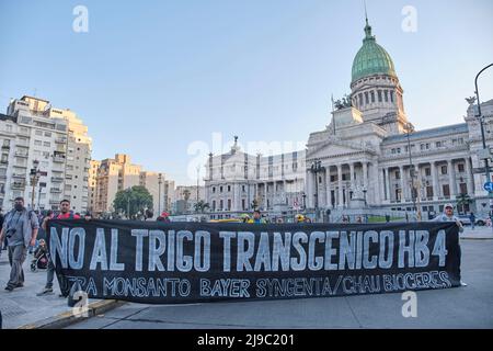 Buenos Aires, Argentinien; 21. Mai 2022: Auf dem Kongreßplatz halten Menschen, die gegen GVO und Pestizide in der Landwirtschaft protestieren, ein Banner: Nein zu gentechnisch verändertem Weizen Stockfoto