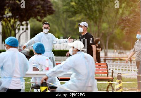 (220522) -- TIANJIN, 22. Mai 2022 (Xinhua) -- Iarroumets Jonathan führt die Bewohner an, Nukleinsäuretests in einer Gemeinde im Bezirk Nankai, Tianjin, Nordchina, zu erhalten, 22. Mai 2022. Die nordchinesische Gemeinde Tianjin erlebte kürzlich ein Wiederaufleben des COVID-19. Iarroumets Jonathan, ein Belgier, der seit einem Jahrzehnt in Tianjin lebt, meldete sich als Freiwilliger in seiner Wohngemeinde an. Jonathan entwickelte schon in jungen Jahren eine tiefe Vorliebe für die chinesische Kultur und kam nach seinem College-Abschluss nach China, um dort zu leben. Tianjin ist seine zweite Heimatstadt geworden. „Jeder ist damit beschäftigt, die Pandemie zu bekämpfen. I Stockfoto