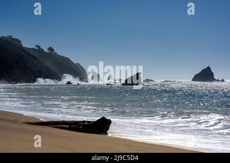 Navarro Beach in Mendocino County in Kalifornien. Stockfoto