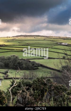 Felder auf Ackerland auf Bodmin Moor in Cornwall. Stockfoto