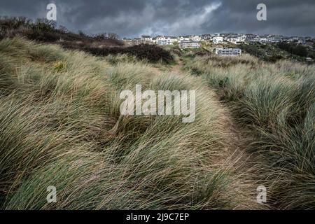 Ein Fußweg durch das feine Sanddünensystem am Crantock Beach in Newquay in Cornwall. Stockfoto