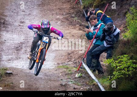 Der Franzose Amaury Pierron beim Finale der Herren Elite Downhill am zweiten Tag des Mercedes-Benz UCI MTB World Cup in Fort William. Bilddatum: Sonntag, 22. Mai 2022. Stockfoto