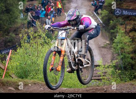 Der Franzose Amaury Pierron beim Finale der Herren Elite Downhill am zweiten Tag des Mercedes-Benz UCI MTB World Cup in Fort William. Bilddatum: Sonntag, 22. Mai 2022. Stockfoto