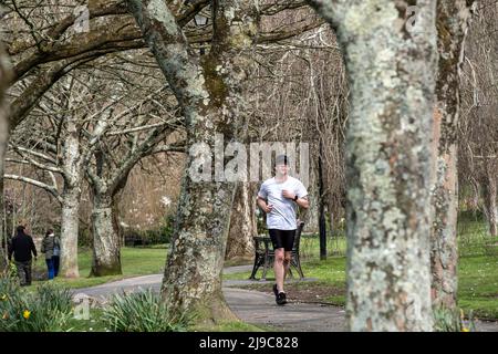 Ein Mann beim Joggen durch die Trenance Gardens in Newquay in Cornwall. Stockfoto