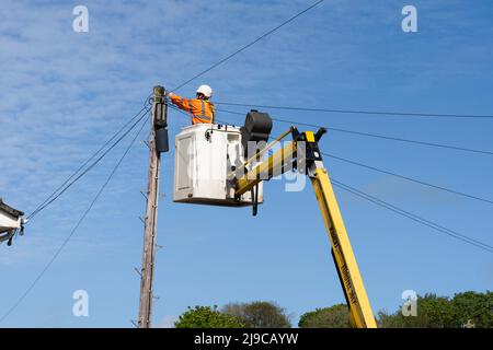 Ein Reparaturingenieur von Openreach, der in einem Cherry Picker persönliche Schutzausrüstung trägt, repariert Telefonkabel an einem hölzernen BT-Telefonmast in Wales, Großbritannien Stockfoto