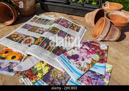 Nahaufnahme des Saatgut- und Pflanzenkatalogs und der Samenpakete auf dem Holztisch. Stockfoto