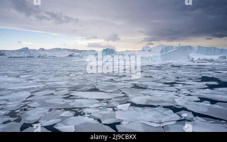 Eisberge an der Mündung des Kangia-Gletschers bei Ilulissat in Westgrönland. Stockfoto