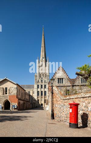 Frühlingsnachmittag in der Kathedrale von Norwich. Stockfoto