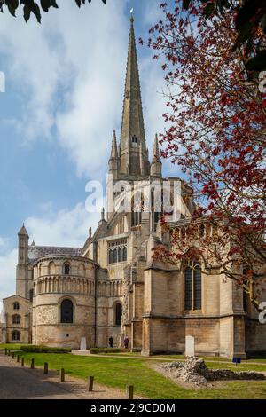 Frühlingsnachmittag in der Kathedrale von Norwich. Stockfoto