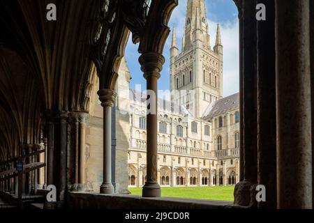 Frühlingsnachmittag in der Kathedrale von Norwich. Stockfoto