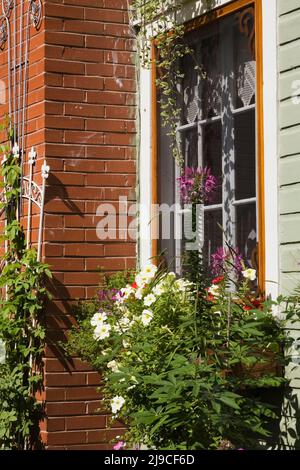 Roter Backsteinkamin und Fenster an der Seite des alten, ca. 1900 im kanadischen Cottage-Stil gehaltenen Hauses mit olivgrünem Holzplankenverkleidung im Sommer. Stockfoto