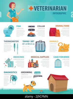 Bunte Tierarzt Infografik Konzept mit tierischen Produkten Ausrüstung und medizinische Zubehör für Haustiere Vektorgrafik Stock Vektor