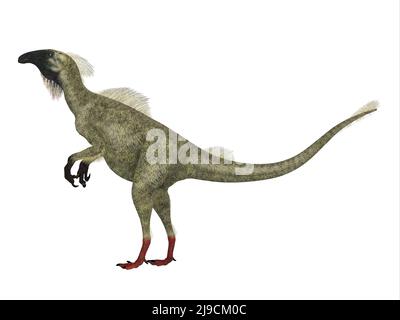 Beipiaosaurus war ein gefiederter Theropod-Dinosaurier, der in der Kreidezeit in China lebte. Stockfoto