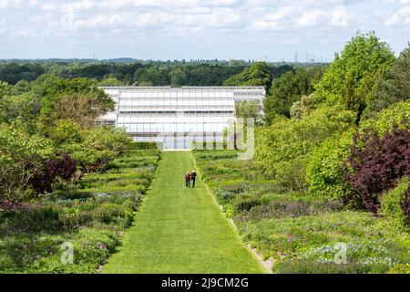 Blick auf das Gewächshaus im RHS Wisley Garden vom Aussichtstor aus, im Mai, Surrey, England, Großbritannien Stockfoto