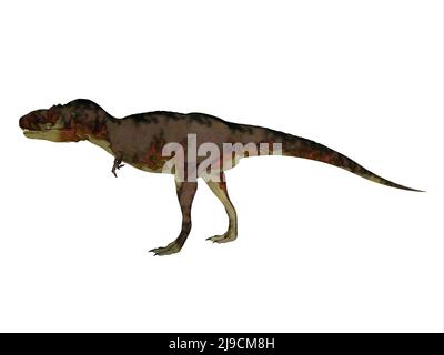 Daspletosaurus war eine fleischfressende Theropode Saurier, die in Nordamerika in der Kreidezeit lebten. Stockfoto