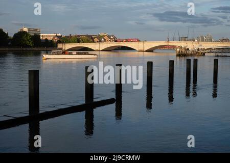 Thamaes River by Putney Bridge, Putney, London, Großbritannien Stockfoto