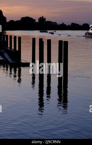 Thamaes River by Putney Bridge, Putney, London, Großbritannien Stockfoto