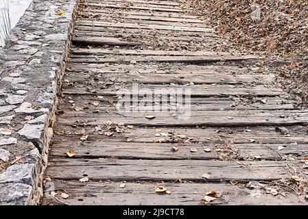 Alte Holzbretter mit dem Loch der Straße, Symmetrie, Vorderansicht, Herbstblätter, Kulissen Stockfoto
