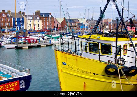 Eine farbenfrohe Szene am Hafen von Arbroath, mit mehreren kleinen Booten und Yachten, die in der Marina liegen, und dem gelben Küstenfischerboot „Girl Alison“ Stockfoto