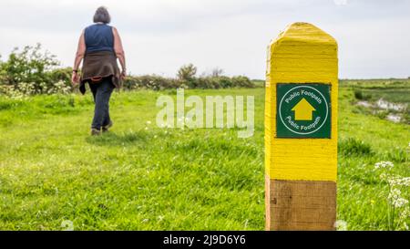 Eine Frau geht am Snettisham Circular Walk vorbei an einem öffentlichen Wanderzeichen über die Süsswassermoore am Ostufer des Wash. Stockfoto