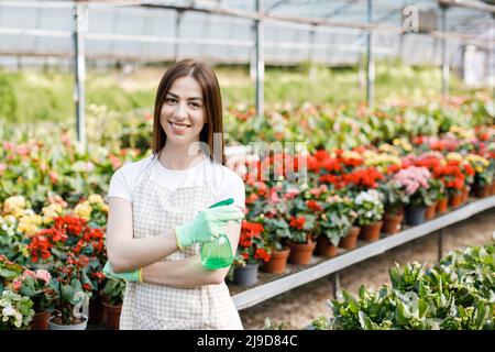 Gartenkonzept. Hübsche lächelnde Frau in der Schürze, die das Sprühgerät in der Hand hält und zur Kamera schaut, die im modernen Gewächshaus auf dem Hintergrund von pla steht Stockfoto