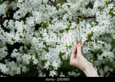 Blumiger Frühlingsduft. Eine Hand hält das Toilettenwasser vor dem Hintergrund blühender Bäume Stockfoto