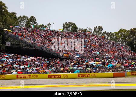 Barcelona, Spanien. 22.. Mai 2022. Fans, großer Preis von Spanien F1 auf dem Circuit de Barcelona-Catalunya am 22. Mai 2022 in Barcelona, Spanien. (Foto von HIGH TWO) Quelle: dpa/Alamy Live News Stockfoto