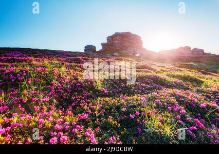 Dramatische Szene der Alpine Valley im Sonnenlicht. Klimawandel. Ort Karpaten Ukraine, Europa. Wunderbares Bild von Tapeten. Ausgezeichnete ou Stockfoto