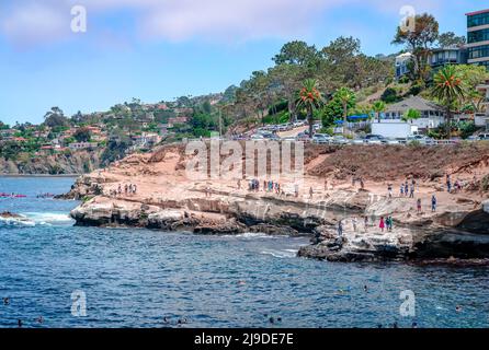 San Diego, CA, USA - Juli 24 2015: Blick auf La Jolla Cove im Sommer, mit Menschen und Seelöwen. Stockfoto