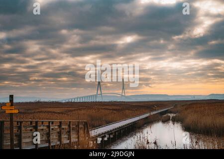 Normandie Brücke über Fluss Seine in der Nähe von Le Havre, Frankreich Stockfoto